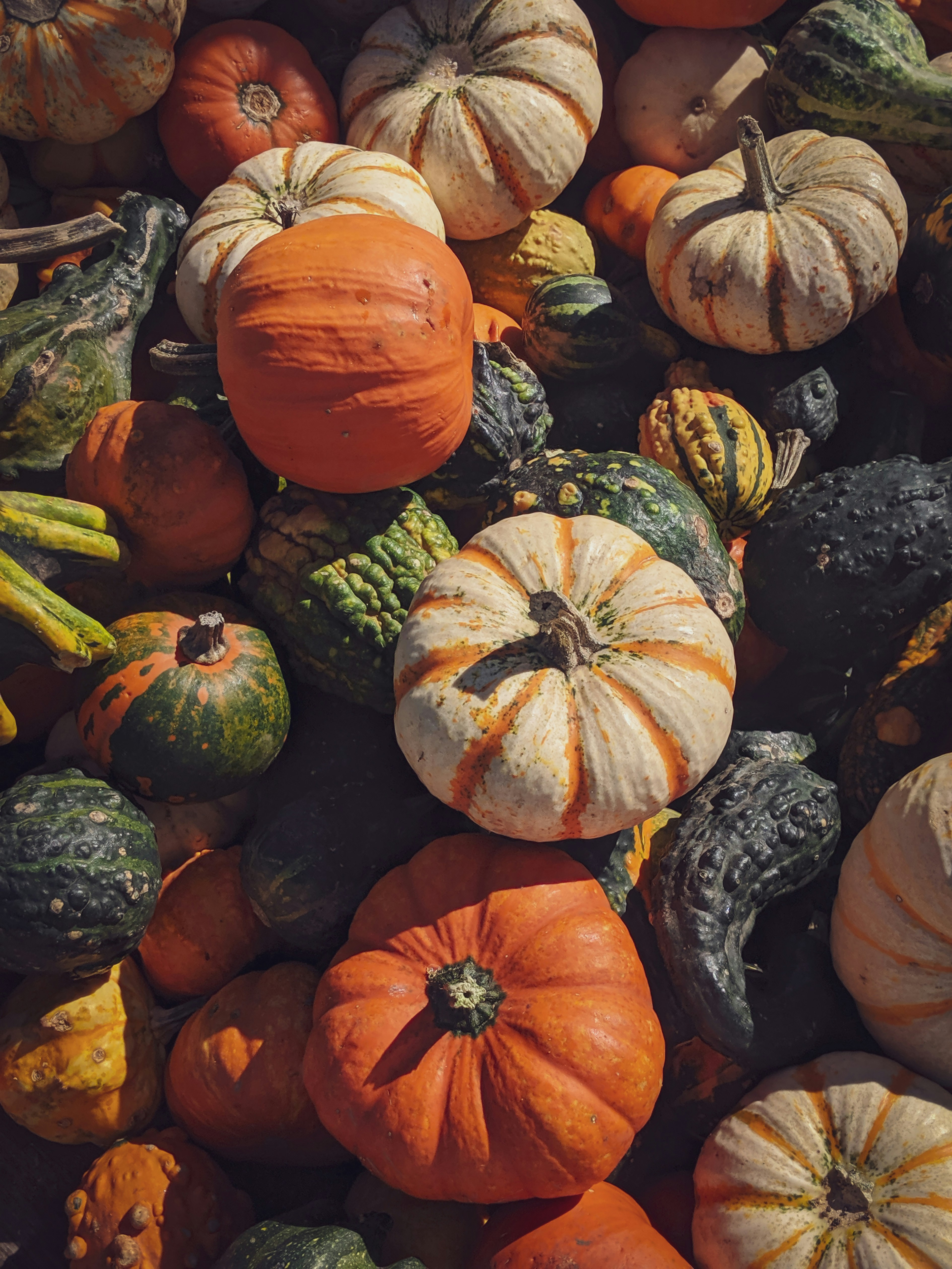 Holzgerlinger Herbst 2021